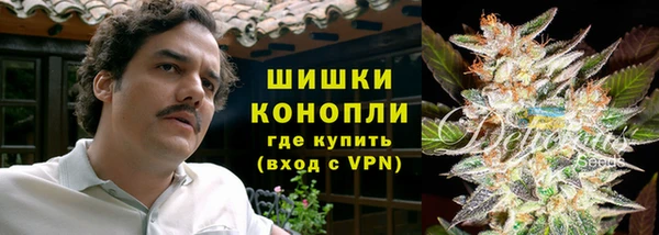 мдпв Мегион