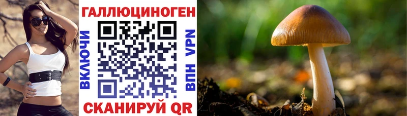 Галлюциногенные грибы Magic Shrooms  сколько стоит  Советская Гавань 